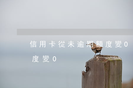 信用卡從未逾期額度變0(信用卡從未逾期額度變0)