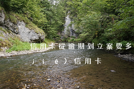 信用卡從逾期到立案要多久(逾期多久凍結(jié)信用卡)