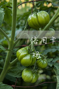 信用卡循环利息是逾期嚒(循环利息是逾期了吗)