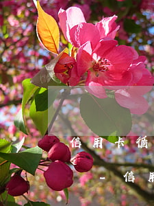 信用卡循環(huán)利息算行用卡逾期嗎-信用卡 循環(huán)利息是什么