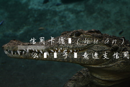 信用卡循環(huán)透支屬于惡意嗎(怎么樣屬于惡意透支信用卡)