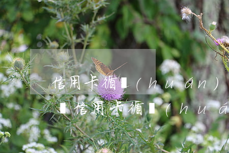 信用卡循環(huán)透支有什么后果(6張信用卡循環(huán)還款后果)