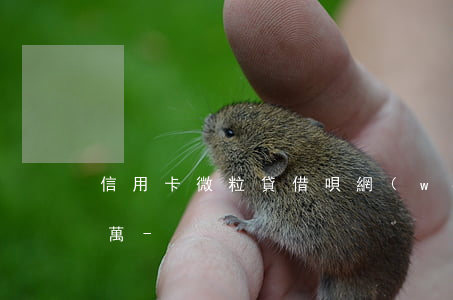 信用卡微粒貸借唄網(wǎng)貸欠50萬-
