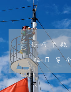信用卡微粒貸等全部逾期怎么辦-信用卡微粒貸等全部逾期怎么辦理