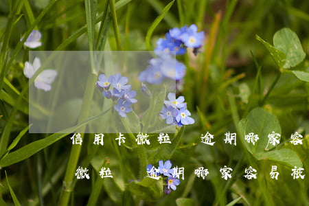 信用卡微粒貸逾期哪家容易被起訴-信用卡微粒貸逾期哪家容易被起訴呢
