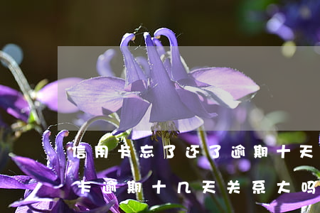 信用卡忘了还了逾期十天怎么办 不小心信用卡逾期十几天关系大吗