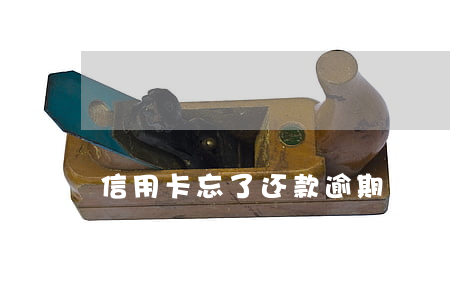信用卡忘了还款逾期一天有影响吗-信用卡忘了还款逾期一天有影响吗怎么办