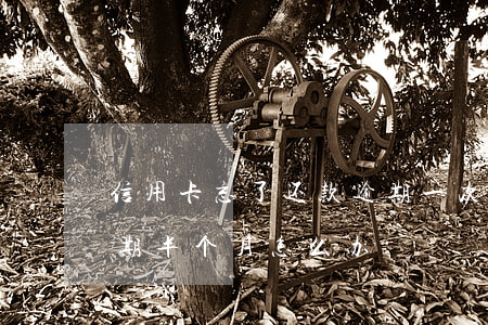 信用卡忘了还款逾期一次(信用卡忘记还了逾期半个月怎么办)