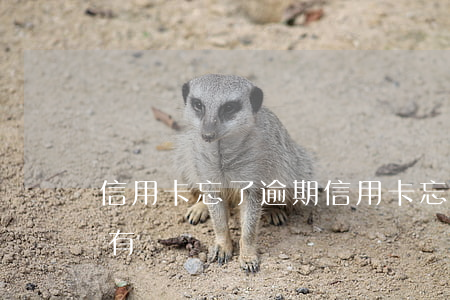 信用卡忘了逾期(信用卡忘了逾期一天有事沒有)