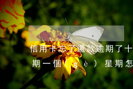 信用卡忘了還款逾期了十天(忘記還信用卡逾期一個(gè)星期怎么辦)
