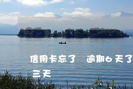 信用卡忘了還逾期6天了(信用卡忘還了逾期三天)
