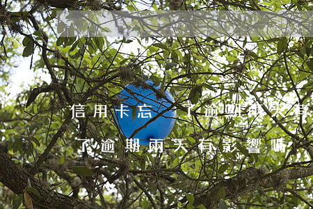 信用卡忘換了逾期兩天有影響嗎(信用卡忘換了逾期兩天有影響嗎)