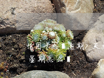 信用卡忘換逾期7天(忘記還信用卡逾期一個星期怎么辦)