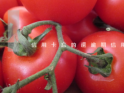 信用卡忘的還逾期 信用卡逾期了可以申訴嗎