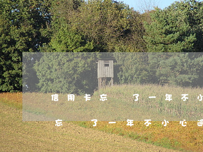 信用卡忘記了一年不小心逾期兩次-信用卡忘記了一年不小心逾期兩次怎么辦