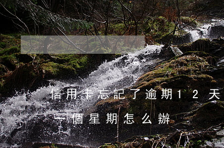 信用卡忘記了逾期12天(忘記還信用卡逾期一個星期怎么辦)