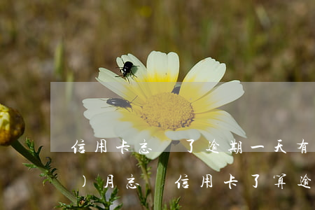 信用卡忘記了逾期一天有事嗎-上個(gè)月忘還信用卡了算逾期嗎