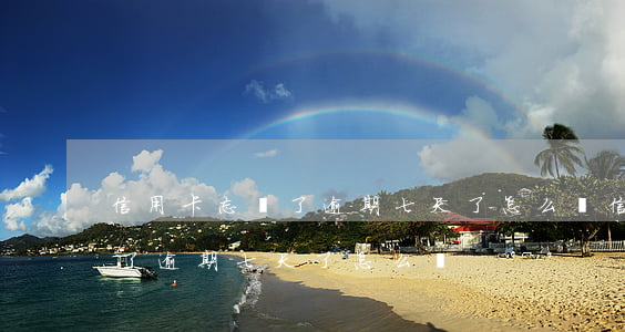 信用卡忘記了逾期七天了怎么辦(信用卡忘記了逾期七天了怎么辦)