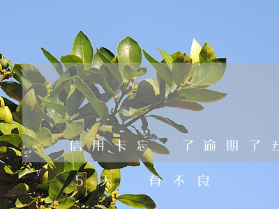 信用卡忘記了逾期了五天(忘記還信用卡逾期5天會有不良記錄嗎)