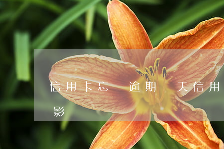 信用卡忘記逾期幾天 信用卡忘記逾期幾天有影響嗎