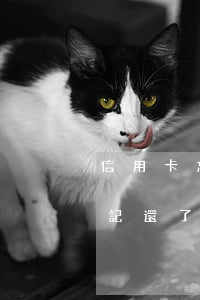 信用卡忘記還了逾期3天(信用卡逾期兩天忘記還了)