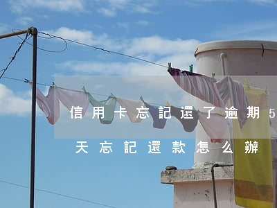 信用卡忘記還了逾期5天了怎么辦(信用卡5天忘記還款怎么辦)