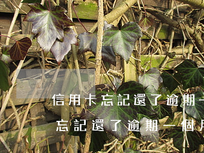 信用卡忘記還了逾期一個月怎么辦-信用卡忘記還了逾期一個月怎么辦呢