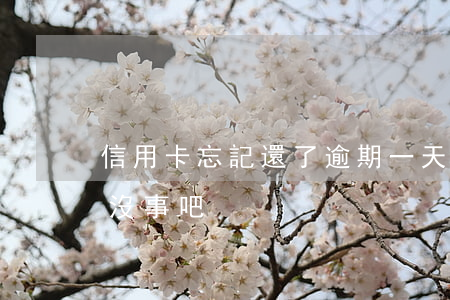 信用卡忘記還了逾期一天(還信用卡逾期一天沒事吧)