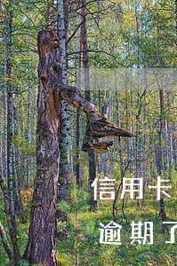 信用卡忘記還了逾期了4天 信用卡忘記還了逾期了4天怎么辦