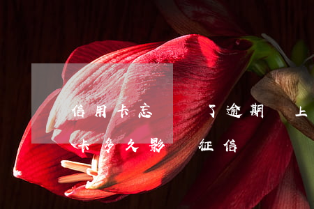 信用卡忘記還了逾期會上征信嗎 忘記還信用卡多久影響征信
