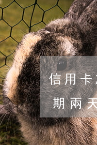 信用卡忘記還導(dǎo)致逾期(信用卡逾期兩天忘記還了有什么問題嗎)