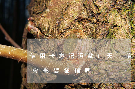 信用卡忘記還款1天-信用卡忘記還款1天會影響征信嗎