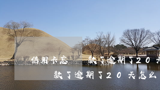 信用卡忘記還款了逾期了20天-信用卡忘記還款了逾期了20天怎么辦