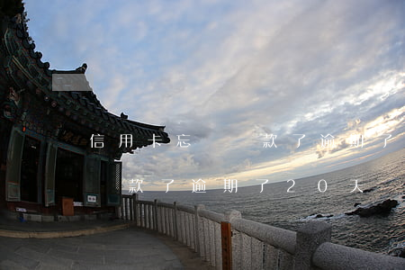 信用卡忘記還款了逾期了20天(信用卡忘記還款了逾期了20天)