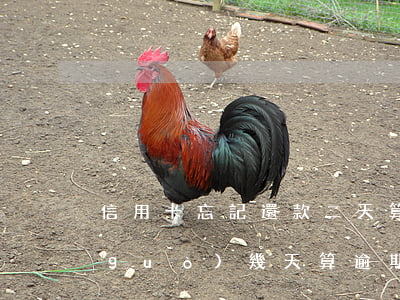 信用卡忘記還款二天算逾期嗎(還信用卡過(guò)幾天算逾期)