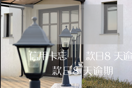 信用卡忘記還款日8天逾期怎么辦（信用卡忘記還款日8天逾期）
