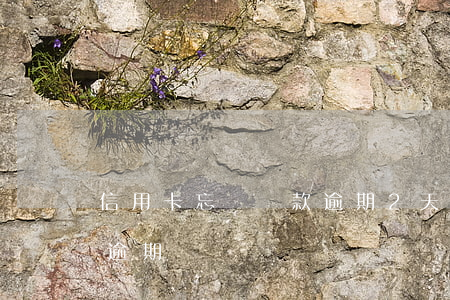 信用卡忘記還款逾期2天(信用卡忘還2天算逾期嗎)