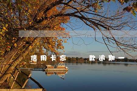 信用卡忘記還款逾期一兩天怎么辦