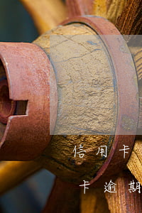 信用卡忘記還款逾期兩天怎么辦(忘記還信用卡逾期2天)