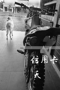 信用卡忘記還款逾期六天(信用卡忘記還款7天)