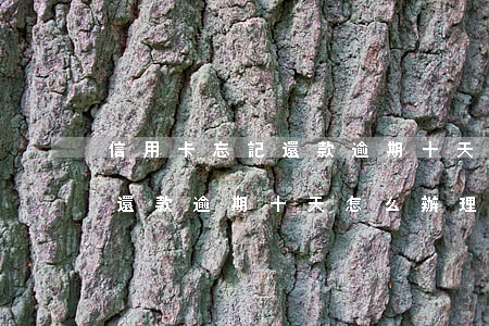 信用卡忘記還款逾期十天怎么辦(信用卡忘記還款逾期十天怎么辦理)