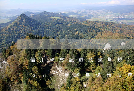 信用卡忘記還款逾期規(guī)則(嚴(yán)重逾期還清后申請(qǐng)信用卡)