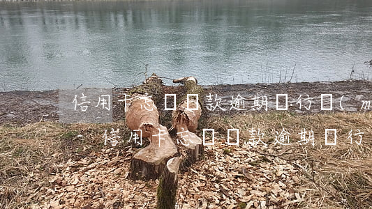 信用卡忘記還款逾期銀行沒(méi)提醒-信用卡忘記還款逾期銀行沒(méi)提醒怎么辦