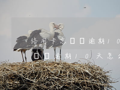 信用卡忘記還逾期10天怎么辦-信用卡忘記還逾期10天怎么辦理