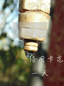 信用卡忘記還逾期一天-信用卡忘記還逾期一天