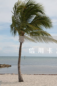 信用卡 忘記還 逾期(信用卡忘記還逾期了)
