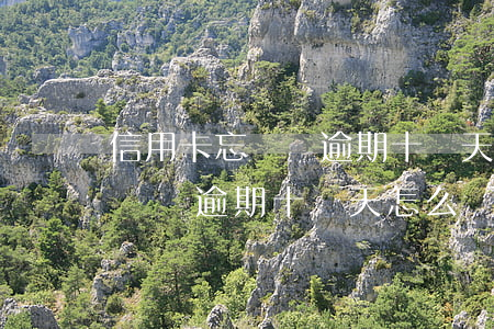 信用卡忘記還逾期十幾天怎么辦-信用卡忘記還逾期十幾天怎么辦理