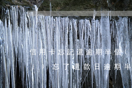 信用卡忘記還逾期半個(gè)小時(shí)(忘了還款日逾期半個(gè)月)