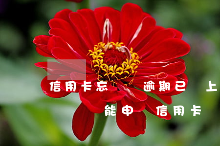 信用卡忘記還逾期已還上征信了(征信有逾期記錄還能申請信用卡嗎)
