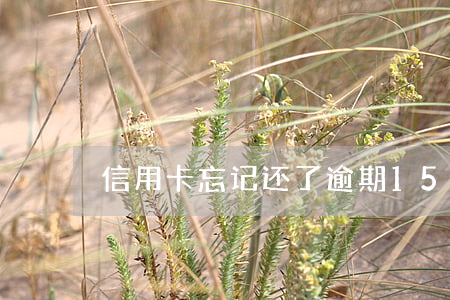 信用卡忘记还了逾期15块钱